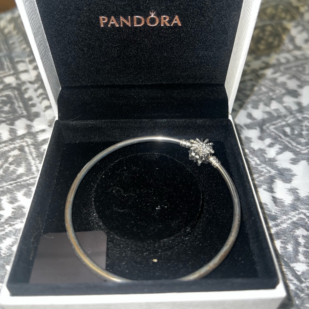 Pandora Braclet